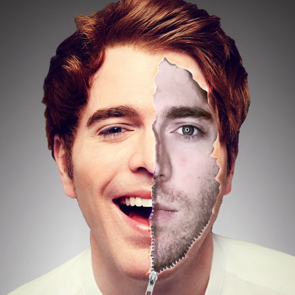 Shane Dawson é um famoso youtuber. Após reinventar seu canal, ele dá vida a uma websérie cujo um apanhado de episódios é sobre o polêmico youtuber Jake Paul