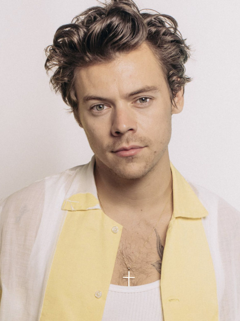 Edição #31: Harry Styles
